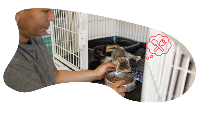 Happy Adopted Dog and Cat Adopting a shelter pet in Fayetteville, TN with support from Fayetteville Animal Clinic