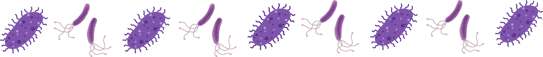 Year-Round Parasite Prevention Animal parasites that need year-round parasite prevention at Fayetteville Animal Clinic in Fayetteville, TN