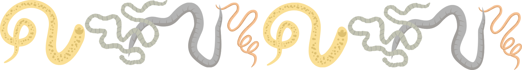 Protecting Animals From Parasites Intestinal parasite worms that can infect companion animals, equines, and livestock