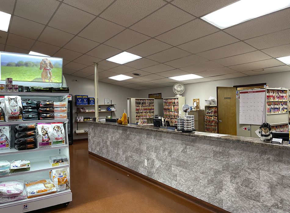 Pet store interior with shelves of pet food, a counter, and organized filing behind the desk.