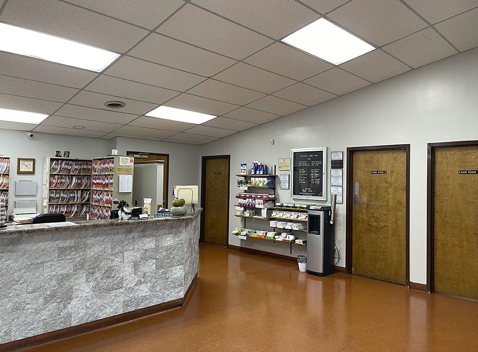 A reception area with a marble desk, files on shelves, a bulletin board, and two doors labeled "Exam Room" and "Doctor's Office.
