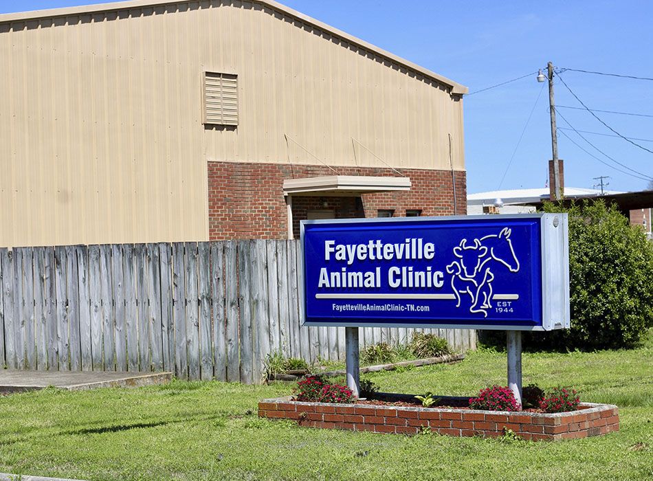 Blue sign for Fayetteville Animal Clinic in front of a beige and red brick building.
