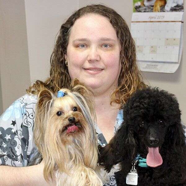 Person holding two small dogs, one with long fur and bow, the other a black curly-haired dog, both with tongues out.