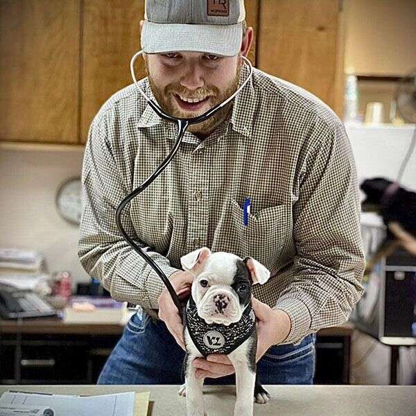 A person wearing a cap and plaid shirt is using a stethoscope on a small black and white puppy.