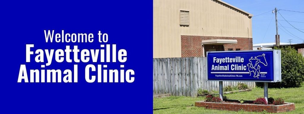 Sign for Fayetteville Animal Clinic with facility building in the background.