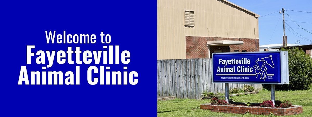 Sign for Fayetteville Animal Clinic with facility building in the background.