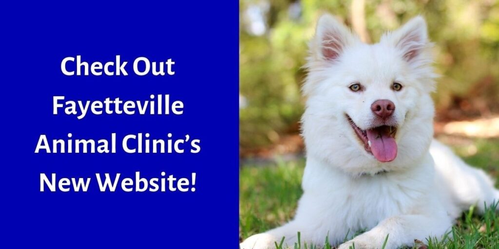 Fluffy white dog lying on grass, panting happily, next to text promoting a new website for Fayetteville Animal Clinic.