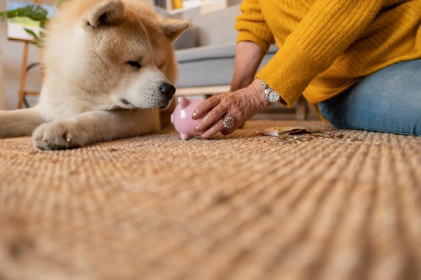 A fluffy dog lying on a woven rug near a person in a yellow sweater holding a pink piggy bank.